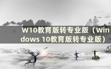 W10教育版转专业版（Windows 10教育版转专业版）